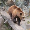 berlinzoo14
